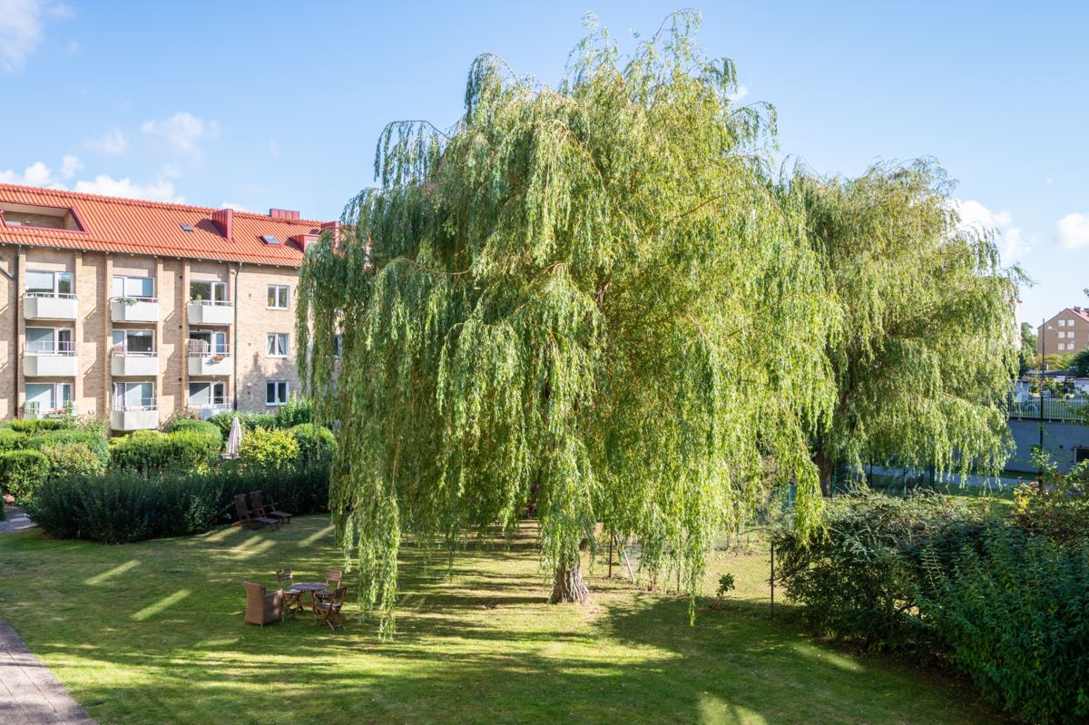Major Nilssonsgatan 15A – bild 26