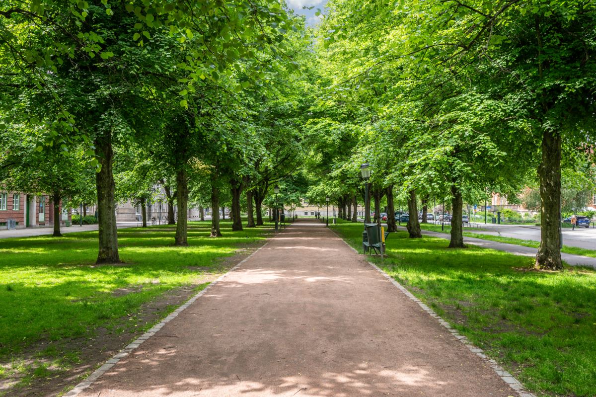 Exercisgatan 3 – bild 20